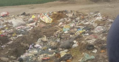 شكوى من تراكم القمامة بمدخل قرية أبو النجاة بالغربية