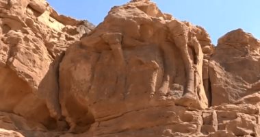 صور.. اكتشاف منحوتات "جمال" عمرها 2000 عام فى السعودية