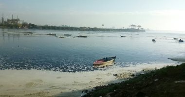 قارئ يشكو تلوث مياة النيل بمركز المحمودية فى البحيرة