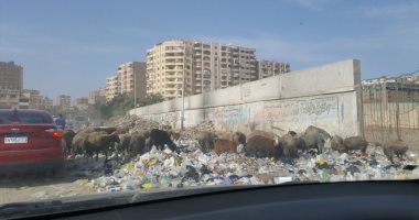 صور.. القمامة تحاصر أسوار حديقة بدر بجسر السويس