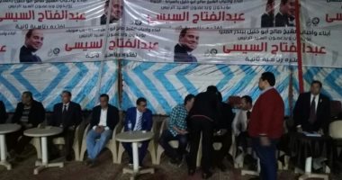 طاهر أبوزيد بمؤتمر دعم السيسى:الناخبون سيصوتون لاستكمال التنمية وليس للرئيس