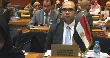 ممثل التضامن بالمؤتمر الإسلامى الخامس: مصر تكفل حقوق الأطفال ومنهم ذوى الإعاقة
