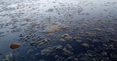 تلوث مياه النيل بالبحيرة وقارئ يطالب بتوقيع غرامات على المخالفين