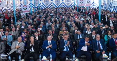 صور.. مئات المواطنين يرفعون صور الرئيس السيسي و"علم مصر" فى مؤتمر حزب الحرية