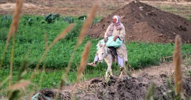 صورة اليوم.. أرضك عرضك ولا يوم تسيبها