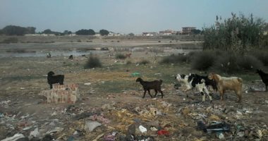 صور.. منطقة آثار صا الحجر بالغربية تعانى الإهمال ومطالب بسور للحفاظ عليها