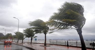 مصرع وإصابة 4 أشخاص جراء العواصف الرعدية والأمطار فى الهند