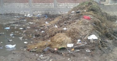 قارئ يشكو من طفح مياه المجارى والقمامة فى قرية ميت الليث بالغربية