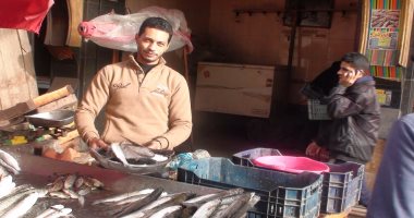 صور.. استقرار أسعار الأسماك بأسواق دمياط بسبب كثرة المعروض