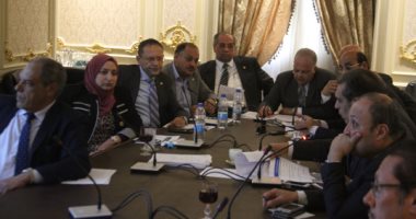 الإثنين.. "طاقة البرلمان" تناقش تكلفة إنتاج الكهرباء بمصر وقيمة الدعم