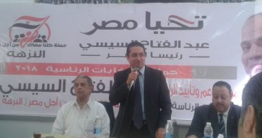 صور.. كلنا معك من أجل مصر تنظم مؤتمرا حاشدا لدعم السيسى بدائرة النزهة