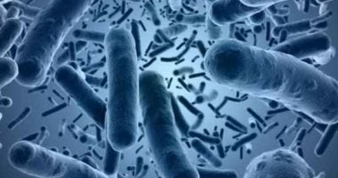كيف يعمل المضاد الحيوى للقضاء على البكتيريا داخل جسمك؟