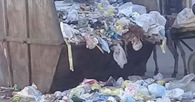 شكوى من انتشار القمامة بشارع طومان باى فى حلمية الزيتون