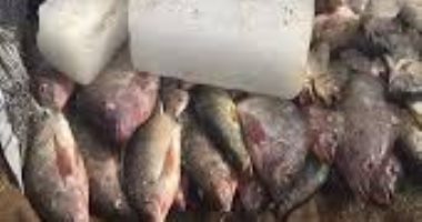 ضبط 300 كيلو أسماك معدة للتهريب بحوزة 3 أشخاص ببحيرة ناصر