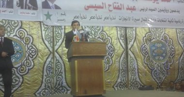 النائب أحمد يوسف بمؤتمر دعم السيسى: الرئيس رفض المزايدة وتصدى لقوى الشر