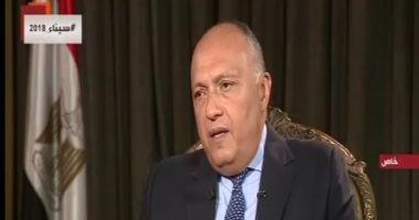وفد مصرى يضم وزيرى الخارجية والموارد المائية والرى يغادر إلى إثيوبيا