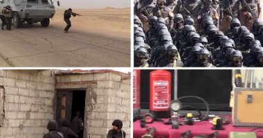 التليفزيون المصرى: مقتل 12 إرهابيا فى مداهمات أمنية بشمال سيناء