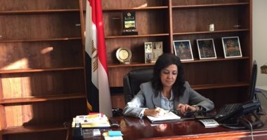 قنصل مصر فى لوس أنجلوس: مشاركة المصريين بكثافة عكس حسًا وطنيًا بالغًا