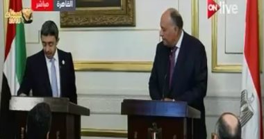وزير خارجية الإمارات: ندفع بكل ثقلنا لإنجاح المصالحة الفلسطينية برعاية مصر