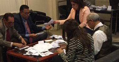 سفير مصر بهولندا: انتهاء فرز الأصوات وموافاة العليا للانتخابات بالأعداد