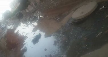 صور.. قارئ يشكو من انتشار مياه الصرف الصحى بقرية بنا فى أبو صوير بالغربية