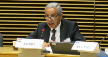 سفير البرازيل بالقاهرة: نصف مليار دولار استثمارات برازيلية فى مصر 