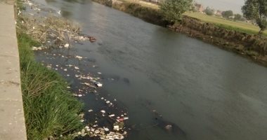 انتشار القمامة والحشائش والمخلفات ببحر فاقوس فى الشرقية