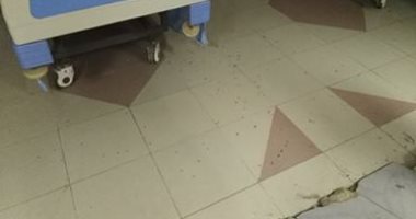 صور.. قارئ يرصد انتشار الحشرات داخل مستشفى بولاق الدكرور