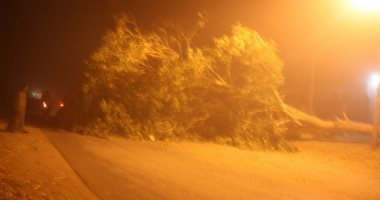 عاصفة ترابية تضرب حلوان وقارئ يحذر المواطنين من السير بالشوارع