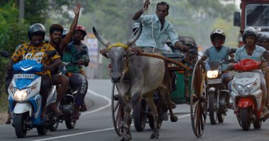 صور.. انطلاق رالى عربات كارو فى احتفالات "السنهالية" بسريلانكا