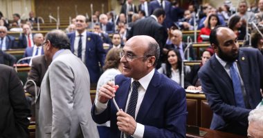 النواب يلتفون حول وزير شئون المجلس للتعبير عن استيائهم من أبو بكر الجندى