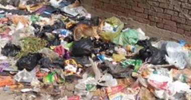 شكوى من انتشار أكوام القمامة بشوارع مدينة الزقازيق