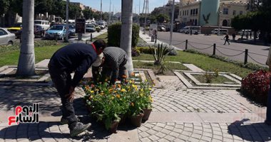 صور.. الإسكندرية تستعد للمعرض السنوى لزهور الربيع بميدان الإسكندر الأكبر