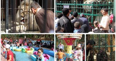 بيت السباع يجذب زوار حديقة الحيوان بشم النسيم.. والأطفال: "أنا الأسد أهو"