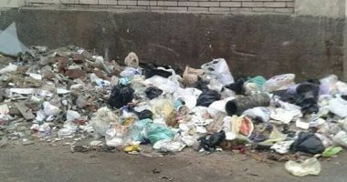 ما البديل بعد فرض غرامات على إلقاء القمامة فى الشوارع بالقاهرة؟