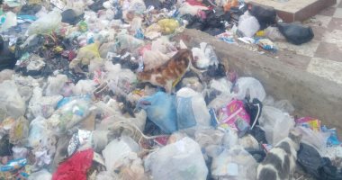 صور.. قارئ يشكو من تراكم القمامة أمام مدرسة طارق بن زياد بالدويقة