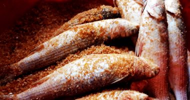 معهد التغذية يكشف 4 نصائح مهمة حول تناول الأسماك المملحة فى العيد