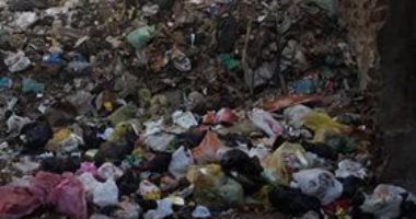 قارئ يشكو من انتشار القمامة بشارع السيد سليم بالمنصورة