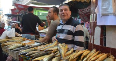 مصر استوردت رنجة وأسماك بـ800 مليون جنيه في 3 أشهر استعدادا لشم النسيم