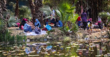 محافظ القليوبية: فتح الحدائق والمتنزهات بالقناطر الخيرية والمدن مجاناً في اعياد الربيع