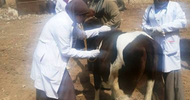 صور.. محافظ سوهاج : قافلة بيطرية بـ"أولاد إسماعيل" للكشف الطبى على 750 حالة من الحيوانات 