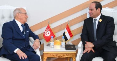الرئيس التونسى يشيد باستعادة مصر لدورها الرائد والفعّال على الصعيد الإقليمى