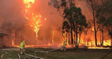 استراليا تتهم مراهق بإشعال الغابات.. والنيران تحصد أرواح 4 أشخاص