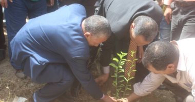 صور.. فرق كشافة فى كفر الشيخ تنظم حملة لزراعة الأشجار