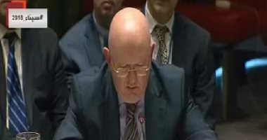 مندوب روسيا بمجلس الأمن: الوضع الإنسانى فى الرقة كارثى