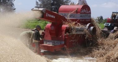 مصرع شخص التهمته ماكينة دراس القمح فى صالحجر بالغربية