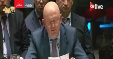 مندوب روسيا بمجلس الأمن: ندين استخدام الأسلحة الكيمائية فى أى مكان