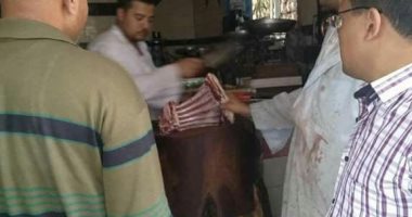 صور .. ضبط لحوم وأسماك غير صالحة الاستخدام الآدمى فى حملة بيطرية بقليوب 