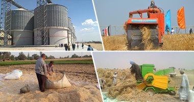 الزراعة تستعد لحصاد 4000 فدان قمح وبنجر سكر بمشروع غرب المنيا