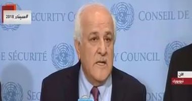 مندوب فلسطين بالأمم المتحدة: نقدر جهود الرئيس السيسي لوقف تهجير سكان غزة